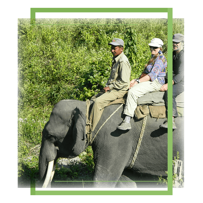 Manas National Park Overview