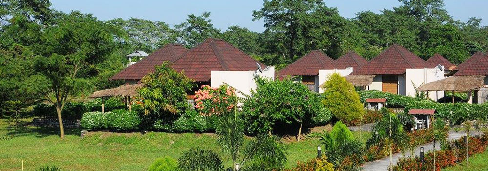 Manas National Park Safari